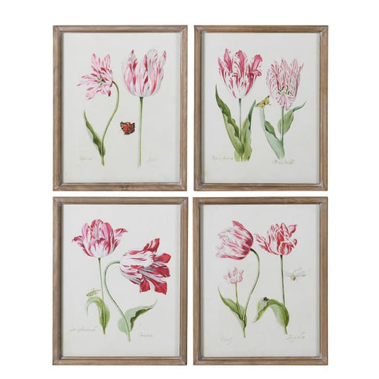 Fuschia Pictures Set of 4