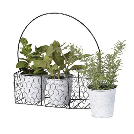 Herbs in Metal Basket