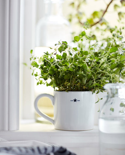 White Stoneware Mug