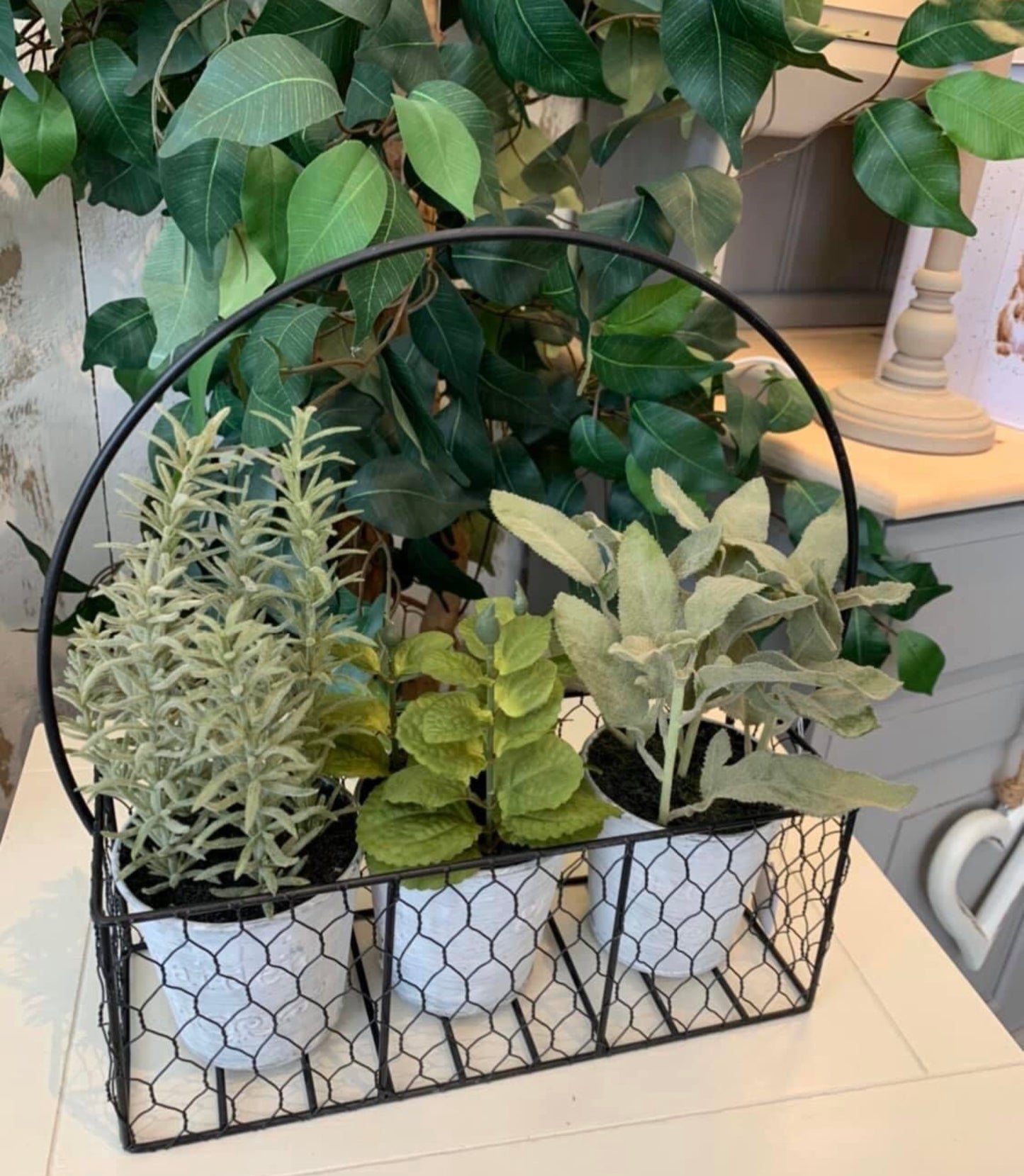 Herbs in Metal Basket