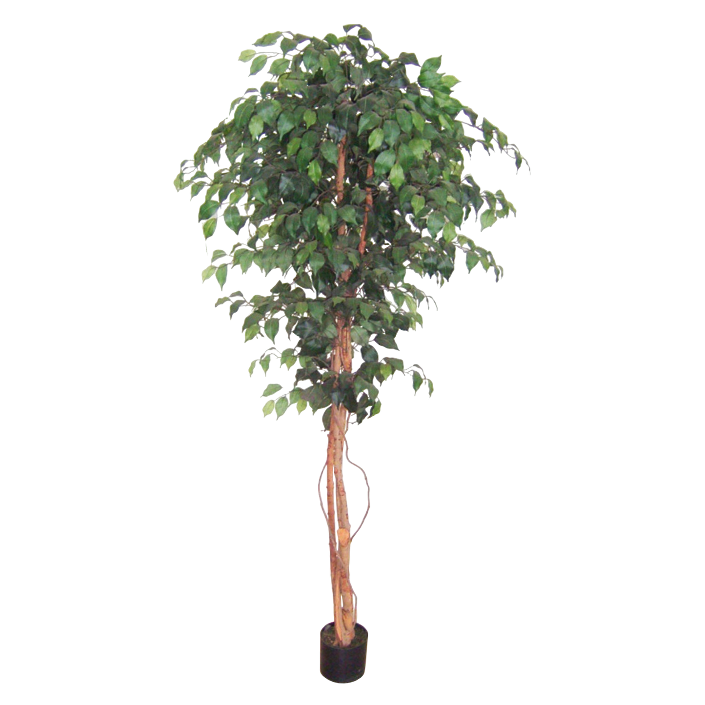 Faux Ficus Tree