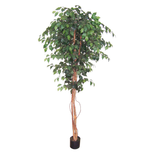 Faux Ficus Tree