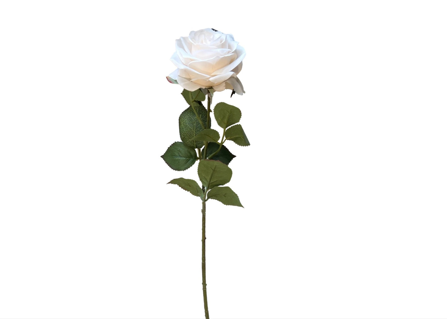 Silk Rose Stem Ivory