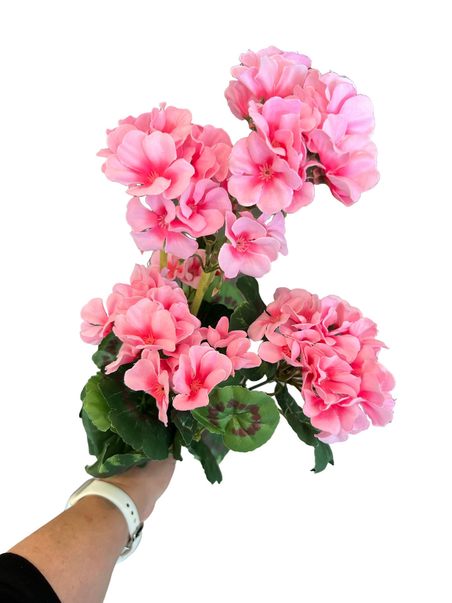 Geranium Bunch Pink