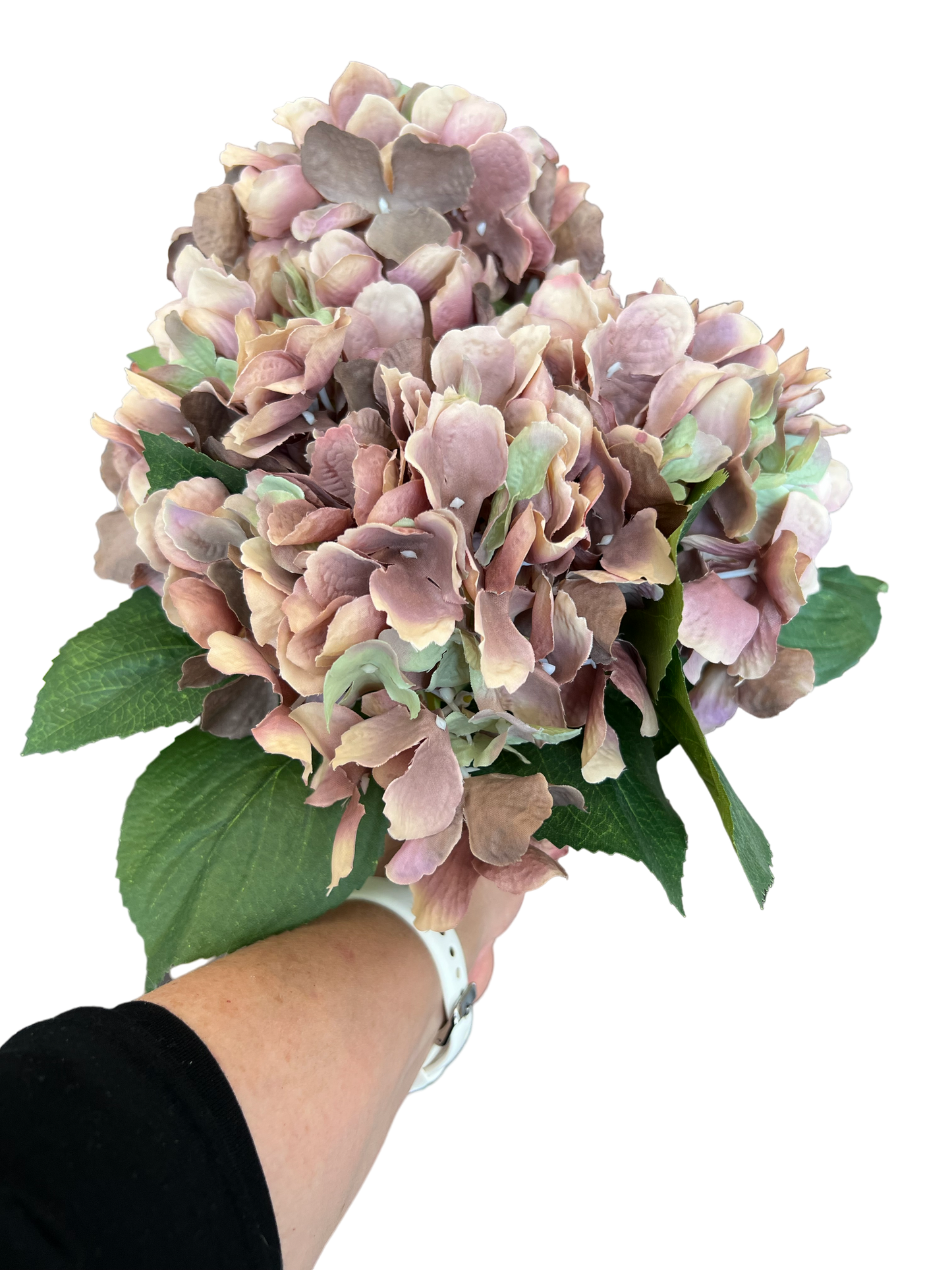 Vintage Hydrangea Bunch